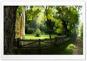 Beautiful Pathway, Summer HD Wide Wallpaper for Widescreen