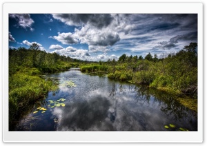 Beautiful Stream HD Wide Wallpaper for Widescreen