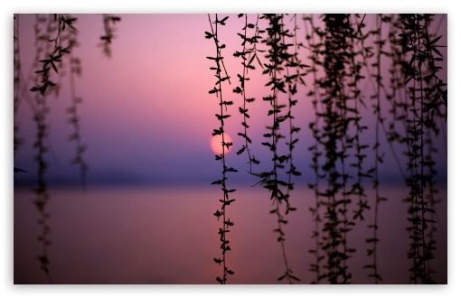 Beautiful Sunset HD wallpaper for Wide 16:10 Widescreen WHXGA WQXGA WUXGA WXGA ;