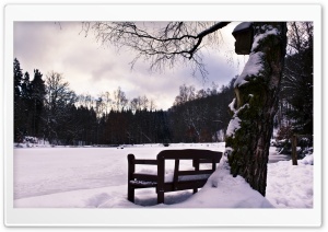 Bench In Winter HD Wide Wallpaper for Widescreen
