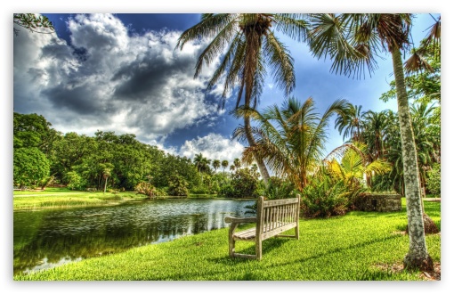 bench on the river bank t2