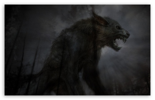 wolf desktop wallpaper. 1 Black Fierce Wolf wallpaper