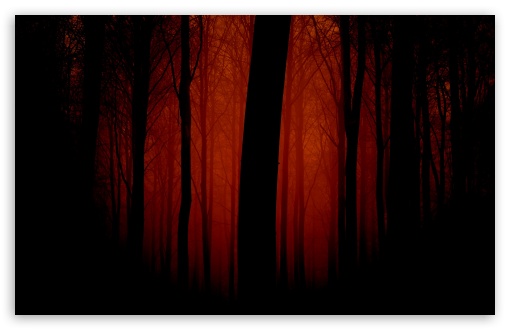 Bloody Forest HD wallpaper for Wide 16:10 Widescreen WHXGA WQXGA WUXGA WXGA ;