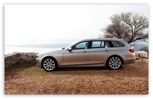 BMW 5 Series Touring F11 In Milano Beige   Autumn HD wallpaper for Standard 4:3 5:4 Fullscreen UXGA XGA SVGA QSXGA SXGA ; Wide 16:10 5:3 Widescreen WHXGA WQXGA WUXGA WXGA WGA ; HD 16:9 High Definition WQHD QWXGA 1080p 900p 720p QHD nHD ; Mobile VGA WVGA iPad PSP Phone - VGA QVGA Smartphone ( PocketPC GPS iPod Zune BlackBerry HTC Samsung LG Nokia Eten Asus ) WVGA WQVGA Smartphone ( HTC Samsung Sony Ericsson LG Vertu MIO ) Sony PSP Zune HD Zen ;