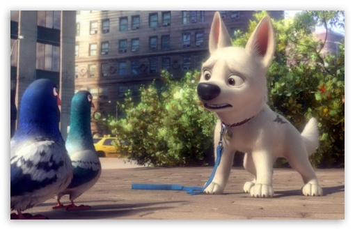 Bolt And Pigeons wallpaper for HD 16:9 High Definition WQHD QWXGA 1080p 900p 720p QHD nHD ; Mobile PSP - Sony PSP Zune HD Zen ;