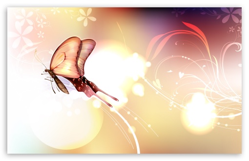 Butterflies Illustration wallpaper butterflies. Butterflies Illustration