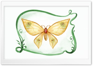 Butterfly Art HD Wide Wallpaper for Widescreen