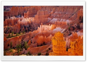Canyon HD Wide Wallpaper for Widescreen