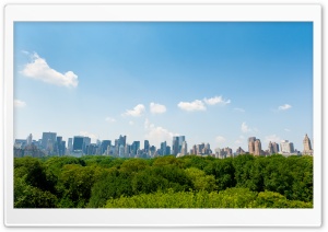 Central Park, New York City HD Wide Wallpaper for Widescreen