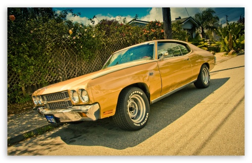 Chevrolet Chevelle SS HD wallpaper for Wide 16:10 Widescreen WHXGA WQXGA WUXGA WXGA ;