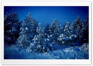 Christmas Fairyland HD Wide Wallpaper for Widescreen