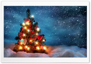 Christmas Tree HD Wide Wallpaper for Widescreen