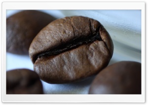 Coffee HD Wide Wallpaper for Widescreen