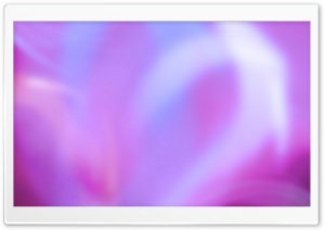 Colorful Aurora Magenta HD Wide Wallpaper for Widescreen