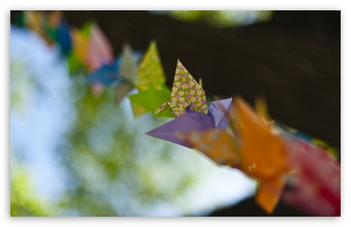 Colorful Origami HD wallpaper for Wide 16:10 Widescreen WHXGA WQXGA WUXGA WXGA ;