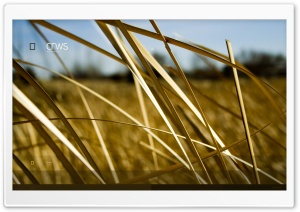 Connect Relationship With Sounds HD Wide Wallpaper for Widescreen