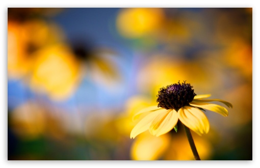 Cool Autumn HD wallpaper for Wide 16:10 Widescreen WHXGA WQXGA WUXGA WXGA ;