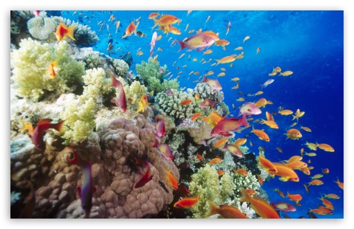 egypt wallpaper. Safaga Egypt wallpaper for