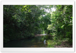 Córrego do Escuro - Dark Creek HD Wide Wallpaper for Widescreen