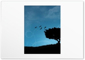 Cranes In Flight HD Wide Wallpaper for Widescreen