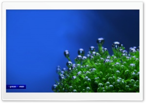 Creative Design 73 HD Wide Wallpaper for Widescreen