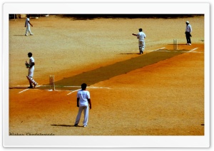 Cricket. HD Wide Wallpaper for Widescreen