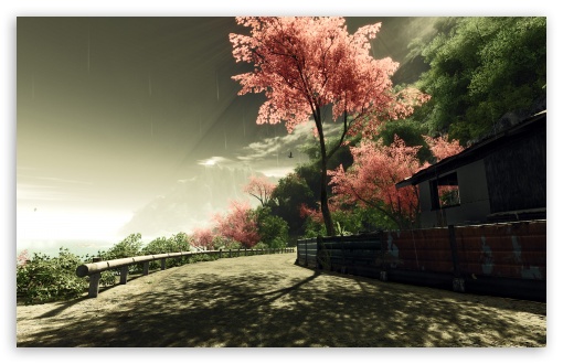 Crysis Sakura HD wallpaper for Wide 16:10 Widescreen WHXGA WQXGA WUXGA WXGA ;