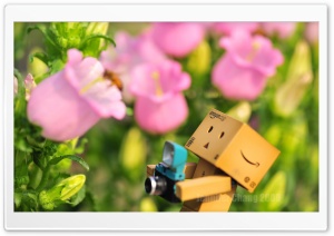 Danbo & Bee HD Wide Wallpaper for Widescreen