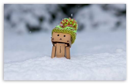 Danbo Discovering Snow HD wallpaper for Wide 16:10 Widescreen WHXGA WQXGA WUXGA WXGA ; HD 16:9 High Definition WQHD QWXGA 1080p 900p 720p QHD nHD ;
