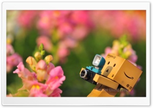 Danbo Falling Down HD Wide Wallpaper for Widescreen