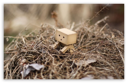 Danbo In A Nest HD wallpaper for Wide 16:10 Widescreen WHXGA WQXGA WUXGA WXGA ;