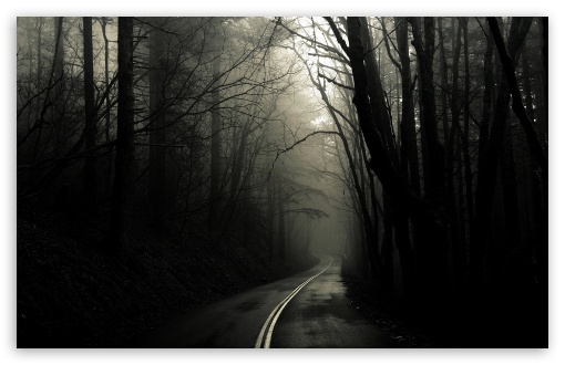 dark_road_forest-t2.jpg
