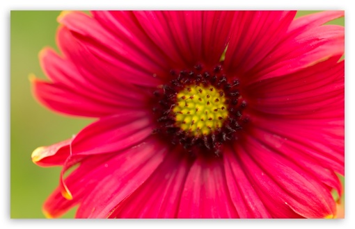 Deep In My Heart HD wallpaper for Wide 16:10 Widescreen WHXGA WQXGA WUXGA WXGA ;