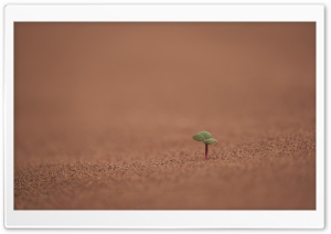Desert 2 HD Wide Wallpaper for Widescreen
