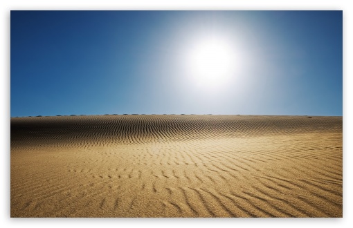 Desert Sun HD wallpaper for Wide 16:10 Widescreen WHXGA WQXGA WUXGA WXGA ;