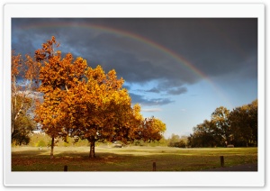 Double Rainbow HD Wide Wallpaper for Widescreen