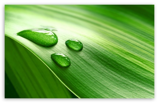 Drop HD wallpaper for Standard 4:3 5:4 Fullscreen UXGA XGA SVGA QSXGA SXGA ; Wide 16:10 5:3 Widescreen WHXGA WQXGA WUXGA WXGA WGA ; HD 16:9 High Definition WQHD QWXGA 1080p 900p 720p QHD nHD ; Other 3:2 DVGA HVGA HQVGA devices ( Apple PowerBook G4 iPhone 4 3G 3GS iPod Touch ) ; Mobile VGA WVGA iPhone iPad PSP Phone - VGA QVGA Smartphone ( PocketPC GPS iPod Zune BlackBerry HTC Samsung LG Nokia Eten Asus ) WVGA WQVGA Smartphone ( HTC Samsung Sony Ericsson LG Vertu MIO ) HVGA Smartphone ( Apple iPhone iPod BlackBerry HTC Samsung Nokia ) Sony PSP Zune HD Zen ; Tablet 2 ;