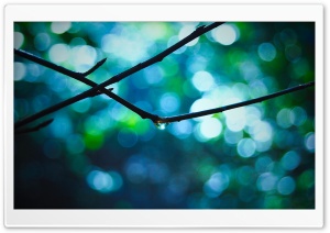 Drop Bokeh HD Wide Wallpaper for Widescreen