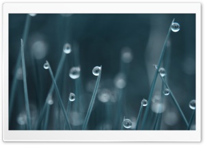 Drops wallpaper