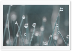 Drops HD Wide Wallpaper for Widescreen
