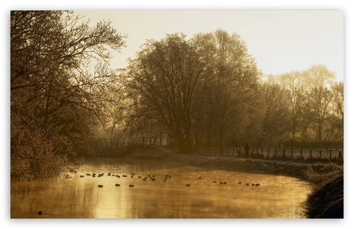 Ducks In The Mist HD wallpaper for Standard 4:3 5:4 Fullscreen UXGA XGA SVGA QSXGA SXGA ; Wide 16:10 5:3 Widescreen WHXGA WQXGA WUXGA WXGA WGA ; Tablet Tablet ; HD 16:9 High Definition WQHD QWXGA 1080p 900p 720p QHD nHD ; Other 3:2 DVGA HVGA HQVGA devices ( Apple PowerBook G4 iPhone 4 3G 3GS iPod Touch ) ; Mobile VGA WVGA iPhone iPad PSP Phone - VGA QVGA Smartphone ( PocketPC GPS iPod Zune BlackBerry HTC Samsung LG Nokia Eten Asus ) WVGA WQVGA Smartphone ( HTC Samsung Sony Ericsson LG Vertu MIO ) HVGA Smartphone ( Apple iPhone iPod BlackBerry HTC Samsung Nokia ) Sony PSP Zune HD Zen ;