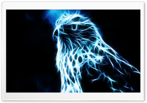 Eagle HD Wide Wallpaper for Widescreen