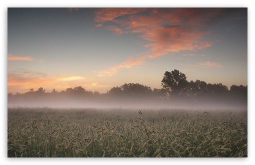 Early Morning Fog HD wallpaper for Wide 16:10 Widescreen WHXGA WQXGA WUXGA WXGA ;