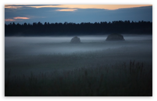 Early Morning Mist HD wallpaper for Wide 16:10 Widescreen WHXGA WQXGA WUXGA WXGA ;