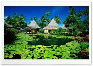 Exotic Resort HD Wide Wallpaper for Widescreen