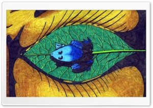 Eye HD Wide Wallpaper for Widescreen