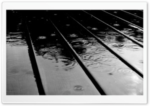 Fall Rain HD Wide Wallpaper for Widescreen