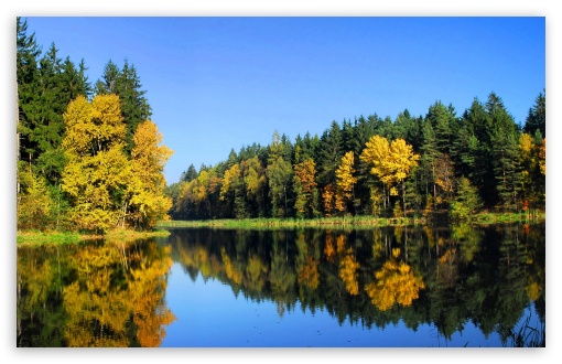 Fall Trees Reflection HD wallpaper for Wide 16:10 Widescreen WHXGA WQXGA WUXGA WXGA ;