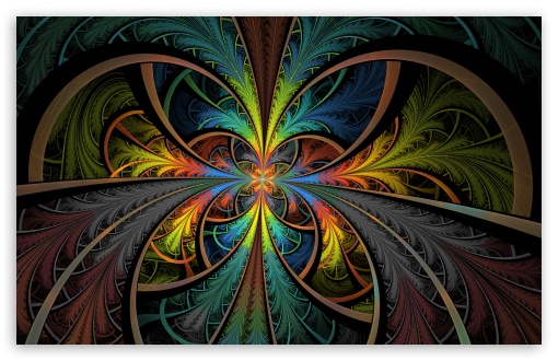 Feathered Stained Glass HD wallpaper for Standard 4:3 5:4 Fullscreen UXGA XGA SVGA QSXGA SXGA ; Wide 16:10 5:3 Widescreen WHXGA WQXGA WUXGA WXGA WGA ; HD 16:9 High Definition WQHD QWXGA 1080p 900p 720p QHD nHD ; Mobile VGA WVGA iPad Phone - VGA QVGA Smartphone ( PocketPC GPS iPod Zune BlackBerry HTC Samsung LG Nokia Eten Asus ) WVGA WQVGA Smartphone ( HTC Samsung Sony Ericsson LG Vertu MIO ) ;
