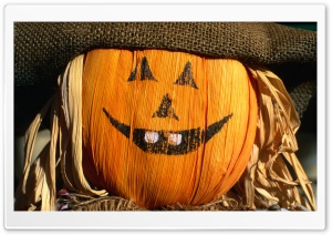 Festive Scarecrow HD Wide Wallpaper for Widescreen